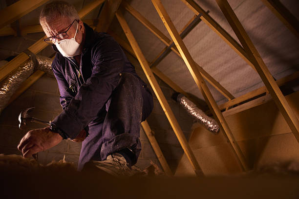 Best Insulation Maintenance and Repair in Tatamy, PA